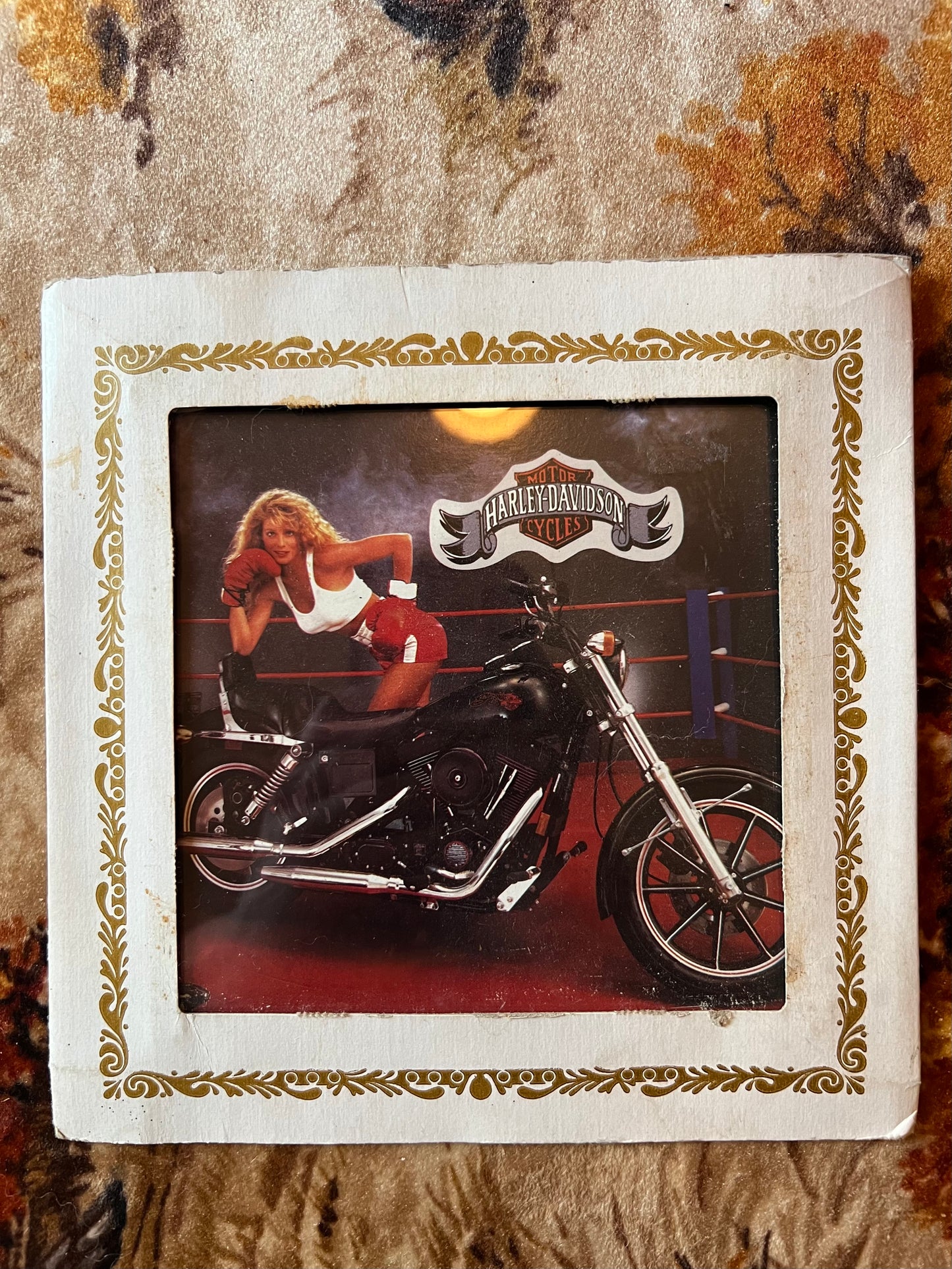 Harley Carnival MIrror